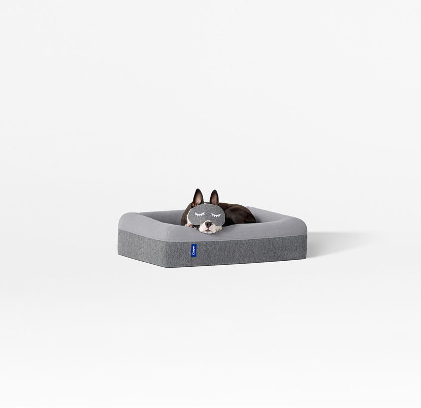 Dog sofa